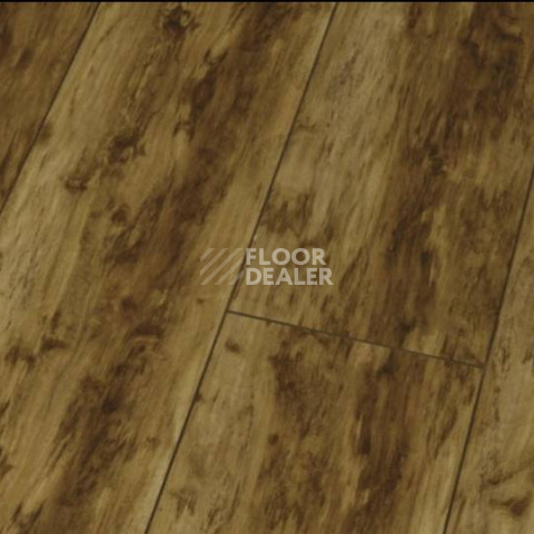 Ламинат Falquon Blue Line Wood 8mm D2272 CANYON OLD BIRCH фото 1 | FLOORDEALER